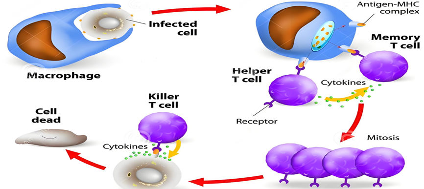 1761614166486164.png image.png