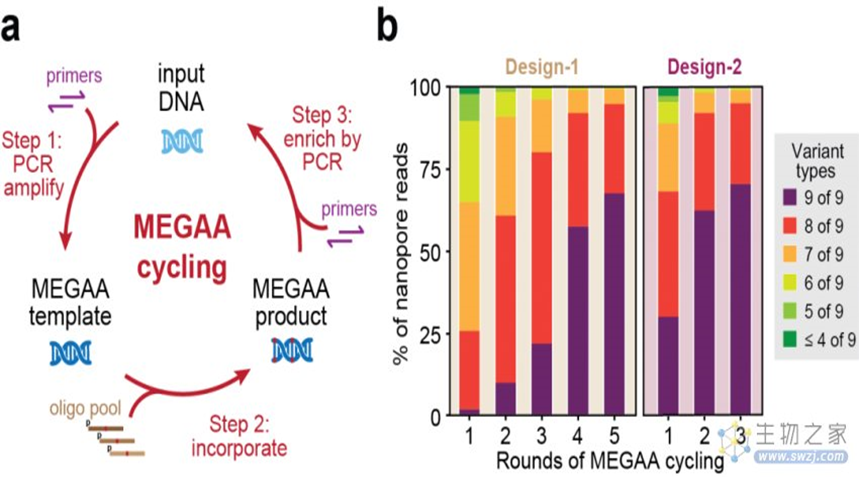 1764033346474735.png image.png