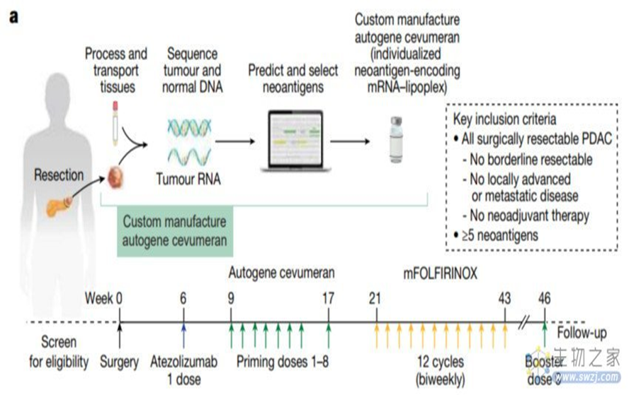 1764206418763261.png image.png