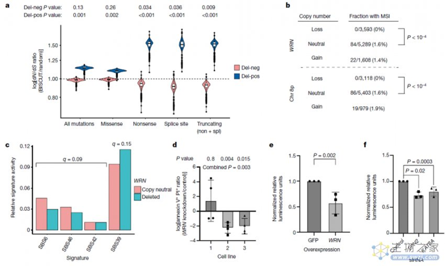 1765415521799547.png image.png