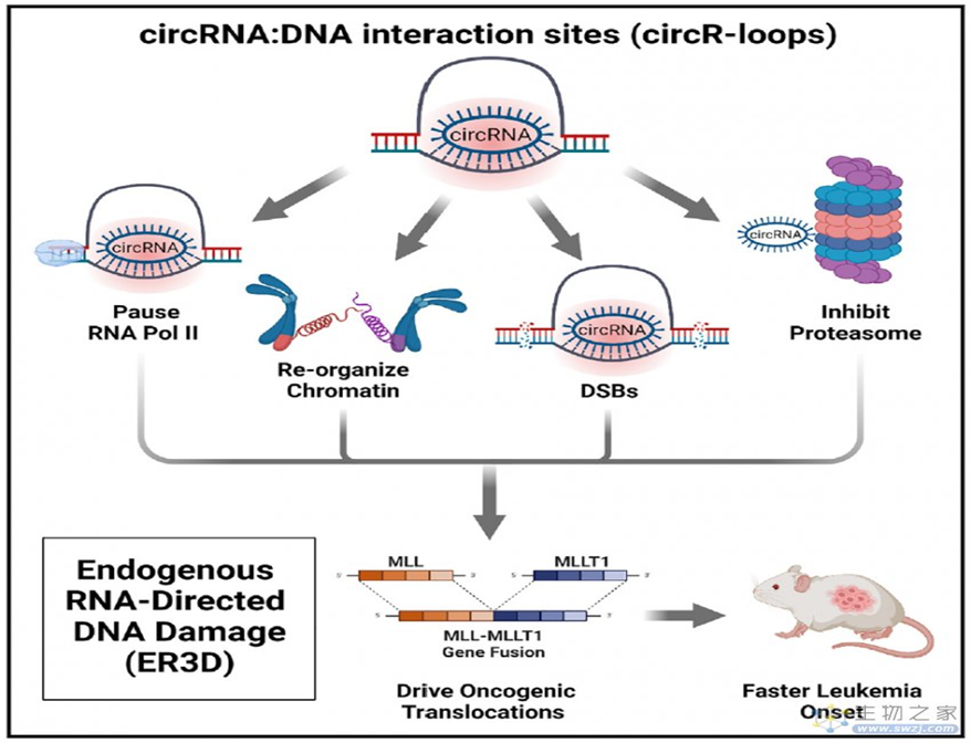 1766452980186047.png image.png